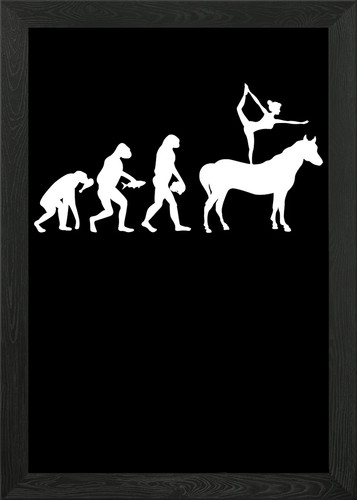 Horse vaulting evolution - vaulting,