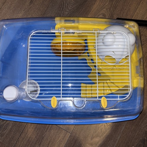 Small rodent cage rat mammal - rodent,