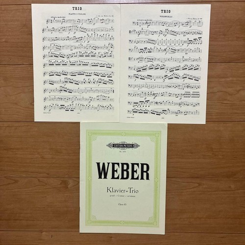 Weber piano trio - weber, op.63