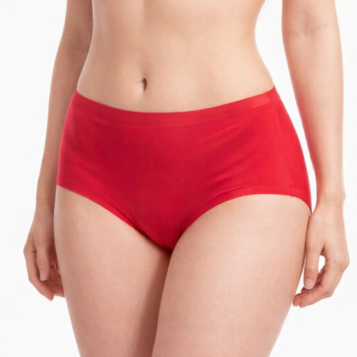 Ladies panties ice silk - panties,