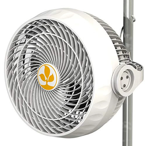 Secret jardin monkey fan - secret,