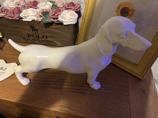 Off white dachshund sausage - white,