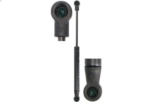 Gas spring convertible roof - gas,
