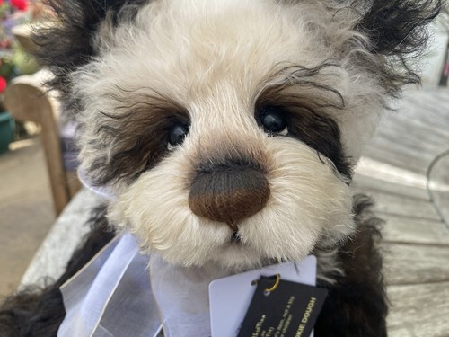Charlie bears anniversary - bears,