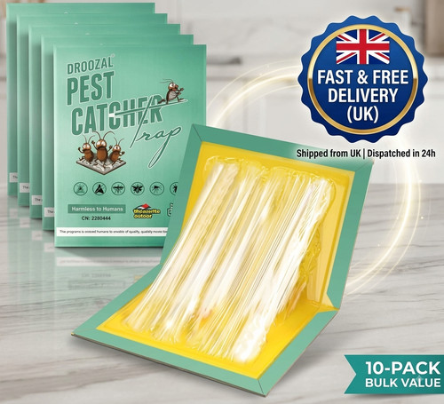 Pack sticky insect traps - 10,