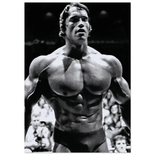 Arnold schwarzenegger poster - arnold,