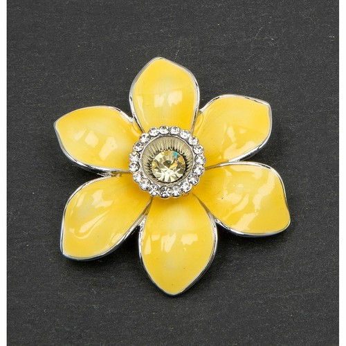 Equilibrium radiant daffodil - radiant,
