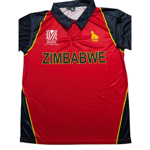 Zimbabwe cricket 2003 odi - zimbabwe,