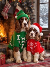 Springer Spaniel Christmas
