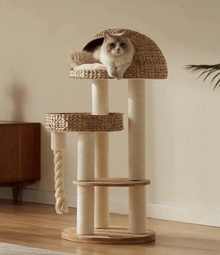 Lord labradors cat dome - lord, &