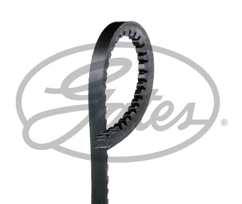 New belt for ldv - v-belt,
