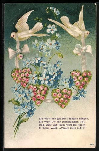 Two white doves with - ak,