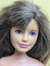 Mattel Brunette Skipper Doll Pink Streaks In Hair