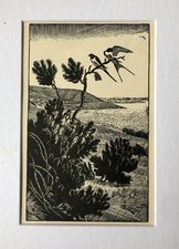 Vintage wood engraving print , C F TUNNICLIFFE - Swallows, mounted. 1933