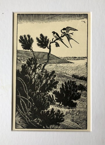 Vintage wood engraving print - ,