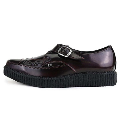 Pointed creeper monk - pointed,
