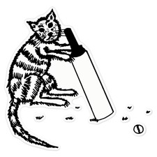 'Cricket Cat' Clear Sticker