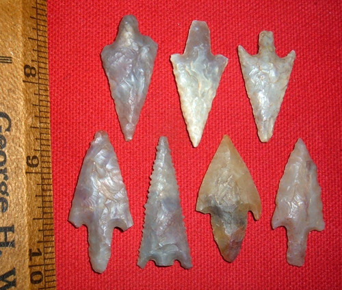 Select neolithic stemmed - (7),