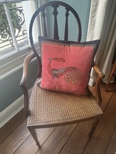 LIBERTY Peacock Velvet Cushion