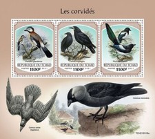 CROWS & Magpies 3-Value MNH Birds/Bird Stamp Sheet #431 (2021 Chad)