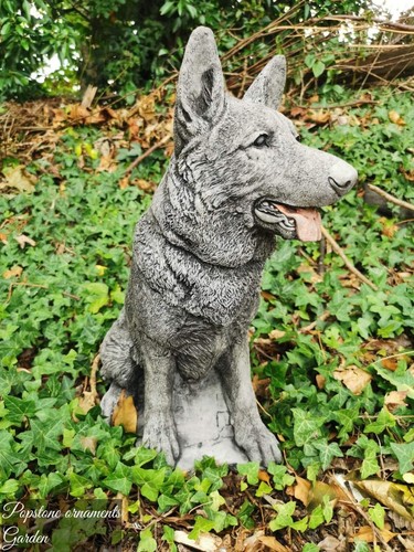 German shepherd dog - german,