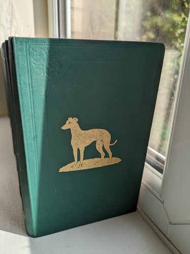 The greyhound stud - greyhound, 14