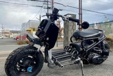 HONDA ZOOMER RUCKUS AF58