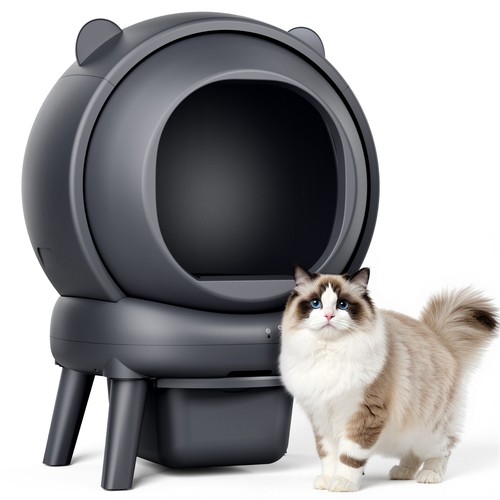 Cleaning litter box - box, with