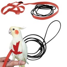 Training rope bird harness - rope,