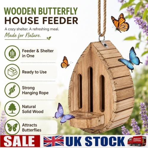 Wooden teardrop butterfly - teardrop,