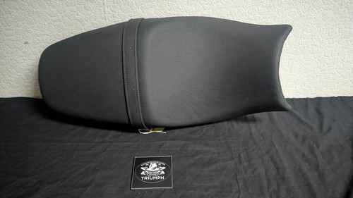T2304232 genuine triumph - genuine,