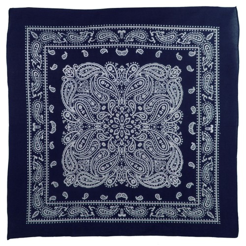 Montana paisley bandana - montana,