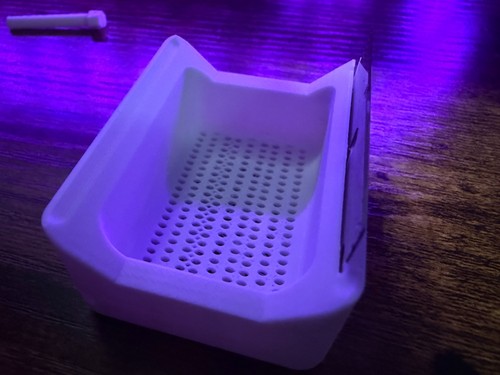 Corydoras egg collector 1 - collector, in
