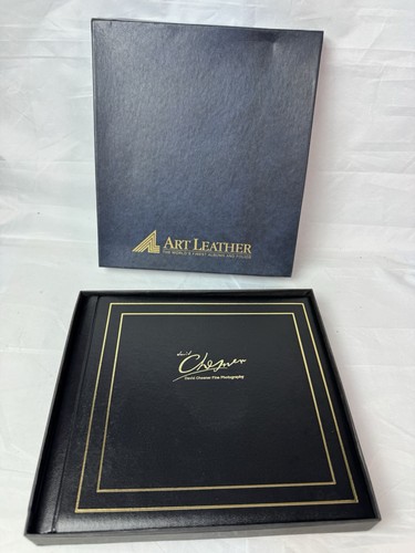 Art leather professional photo - art,