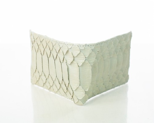 Exotic python bifold wallet - python,