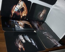 6 BEAUTIFUL UNUSUAL HORSE