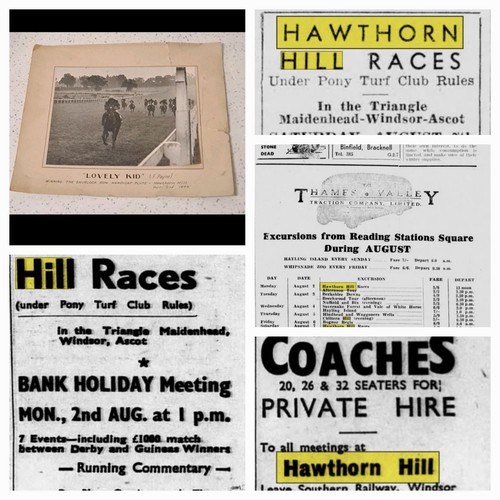 Hawthorne hill berkshire horse - berkshire,