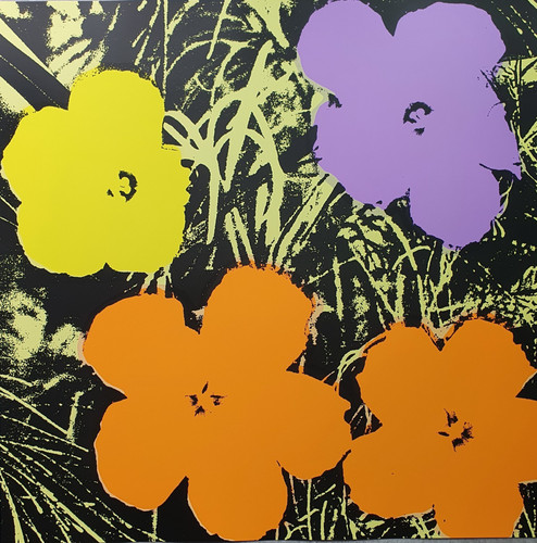 Flowers poppy series - series, b