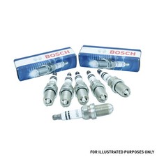 Spark Plug 6 Pieces Fits