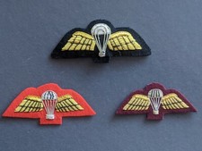 Para Wings Mess Dress Sleeve