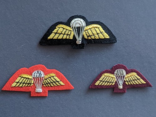 Para wings mess - para,