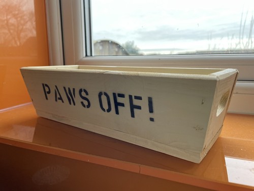 Plant box window sill - plant,