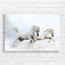 Snowy horse running - snowy,