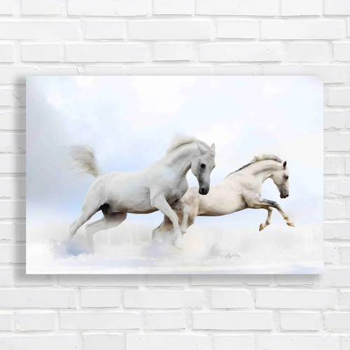 Snowy horse running - horse,