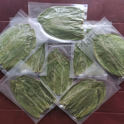 Organic dried soursop - leaves, /