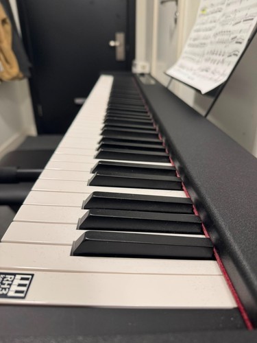 Korg digital stage piano - stage,