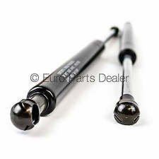 Pair gas struts tailgate boot