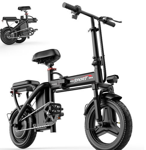 Electric bike for - electric,