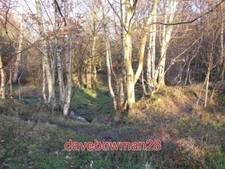 PHOTO  OLD MILL POND IN THE