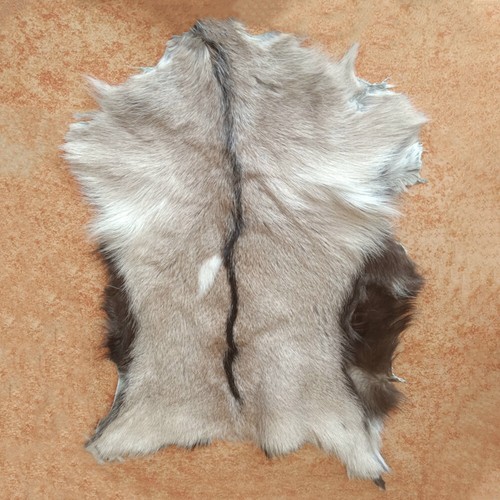 1pcs real goat skin fur - 1pcs, pelt